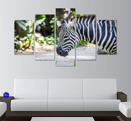 Zebra On Reserve Kenya 5 Panel Canvas Print Wall Art - GotItHere.com