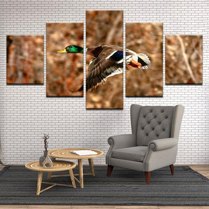 Mallard Duck 5 Panel Canvas Print Wall Art - GotItHere.com